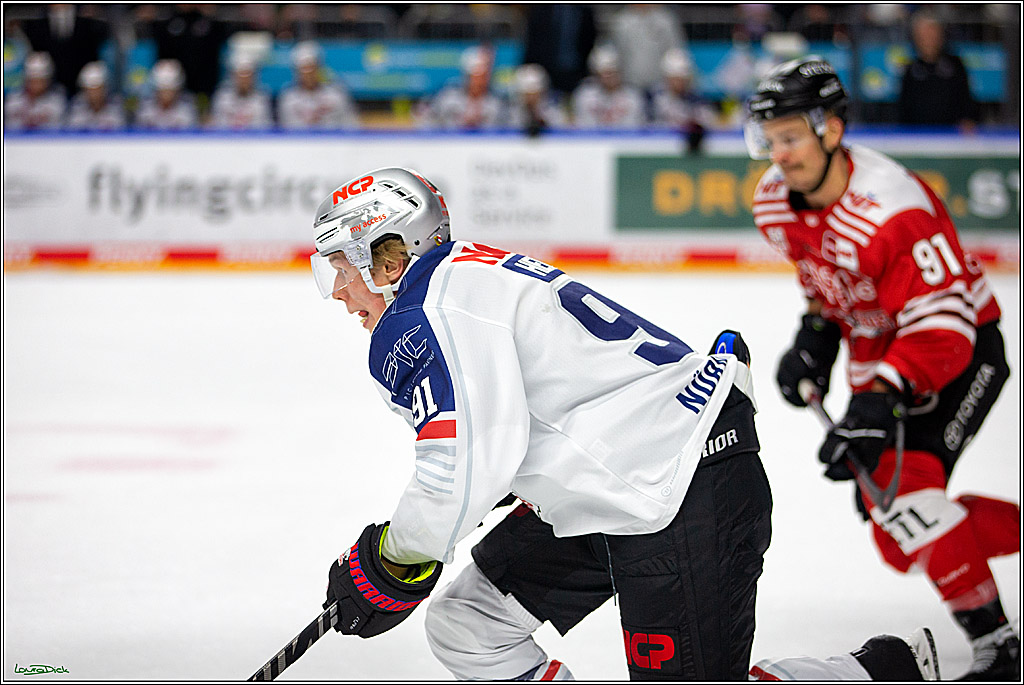 PENNY DEL; Koelner Haie- Nuernberger Ice Tigers; Koeln, 18.11.2022
